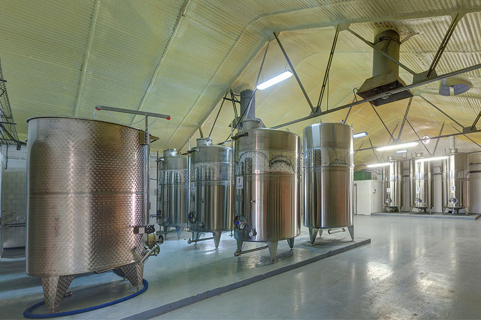 Bodega 3