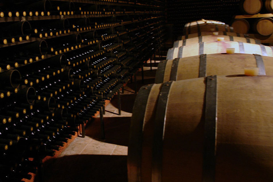 Bodega 4